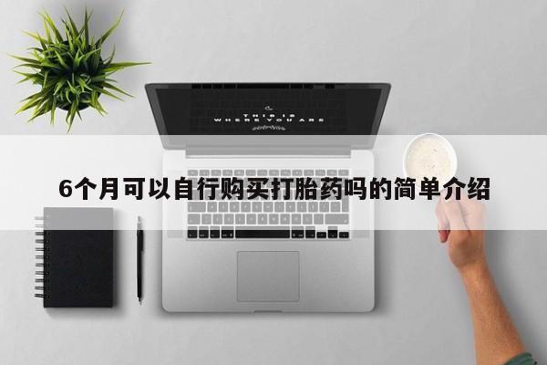 私人诊所可以卖打胎药6个月可以自行购买打胎药吗的简单介绍